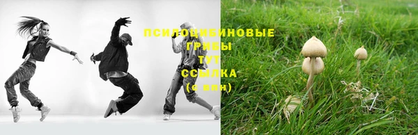 СК Абинск