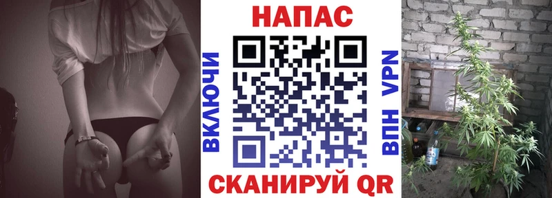 Канабис сатива  Чишмы 